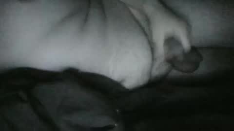 Snapshot of lethandor chatting on December 2024 06:52:02 AM Rayne online show from December 2024 06:52:02 AM