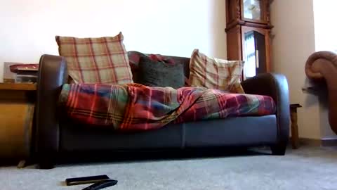 Snapshot of letmestrip chatting on February 2026 09:02:01 AM paul online show from February 2026 09:02:01 AM