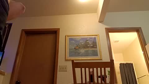 letsplay361 online show from March 2025 01:47:01 PM