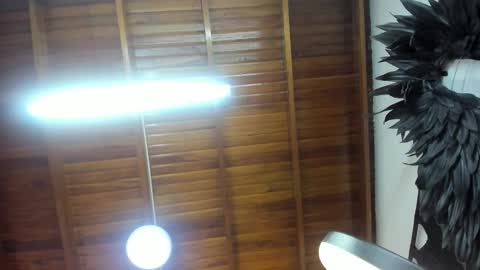 LevySteven online show from November 2025 05:29:02 AM