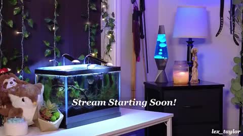 Lex online show from February 2025 04:59:01 PM