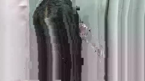 lhara_morena online show from December 2025 12:11:02 PM