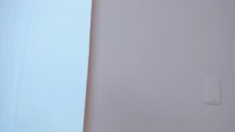 Snapshot of lia_ass chatting on October 2025 10:17:02 AM Liss 3 online show from October 2025 10:17:02 AM