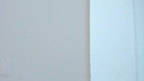 Snapshot of lia_ass chatting on November 2025 10:25:02 AM Liss 3 online show from November 2025 10:25:02 AM