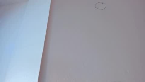 Snapshot of lia_ass chatting on November 2025 10:30:01 AM Liss 3 online show from November 2025 10:30:01 AM