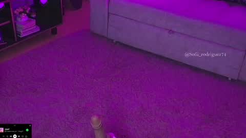 Snapshot of liaa_rodriguezz chatting on February 2025 02:55:02 AM Liaa online show from February 2025 02:55:02 AM