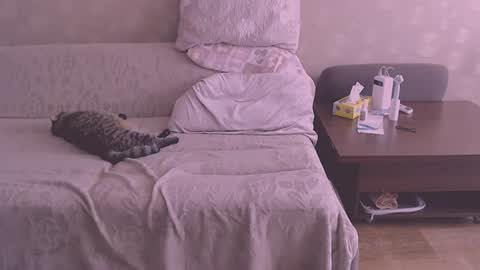 miss Lia  colection for travel online show from August 2026 12:29:02 PM