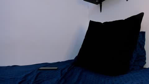 Snapshot of liamreigns_ chatting on January 2025 01:21:02 AM liam online show from January 2025 01:21:02 AM