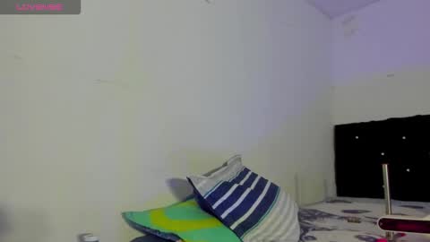    online show from November 2025 01:17:02 PM