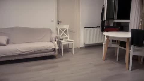 SofieXxxDoll online show from September 2025 10:53:01 PM