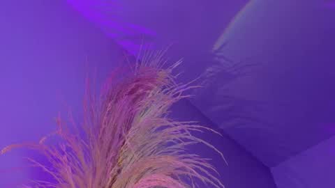 Snapshot of liiamluna chatting on January 2026 12:40:01 PM Liiam Luna online show from January 2026 12:40:01 PM