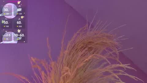 Snapshot of liiamluna chatting on January 2026 09:04:02 AM Liiam Luna online show from January 2026 09:04:02 AM