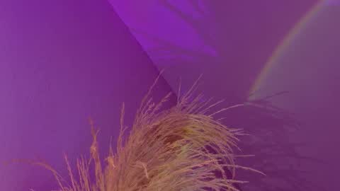 Snapshot of liiamluna chatting on January 2026 09:14:02 AM Liiam Luna online show from January 2026 09:14:02 AM