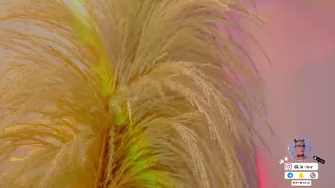 Snapshot of liiamluna chatting on June 2026 11:00:01 AM Liiam Luna online show from June 2026 11:00:01 AM