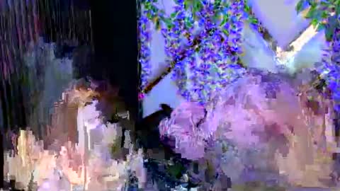 Brittany online show from December 2025 02:48:01 PM