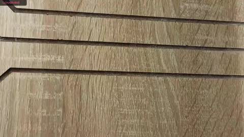 Snapshot of likavibe chatting on November 2025 04:47:01 PM likavibe online show from November 2025 04:47:01 PM