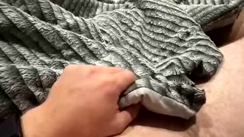 Snapshot of likeaboss820 chatting on October 2025 02:03:02 AM likeaboss820 online show from October 2025 02:03:02 AM