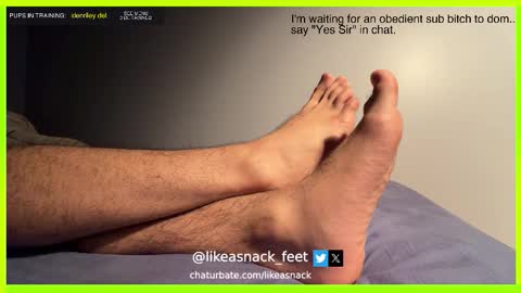 likeasnack online show from October 2025 06:47:01 AM