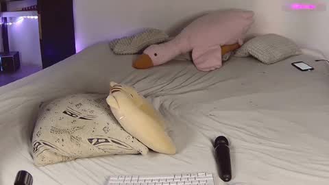 Snapshot of lil_nessa chatting on February 2025 05:31:01 AM Nessa Greyrat   if u like me tip 25 tk and put  online show from February 2025 05:31:01 AM