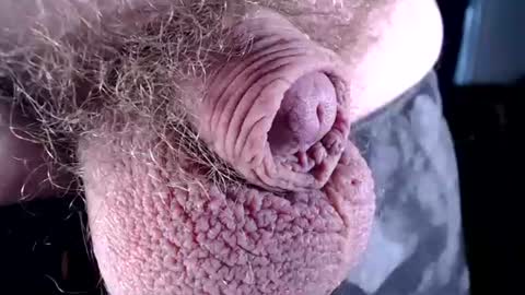 Snapshot of lildickbigbelly chatting on July 2026 07:16:02 PM lildickbigbelly online show from July 2026 07:16:02 PM