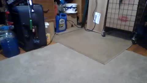 lildman420 online show from March 2026 05:51:01 PM