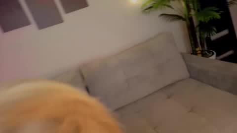 Snapshot of lililok101 chatting on October 2025 02:04:01 AM lililok101 online show from October 2025 02:04:01 AM