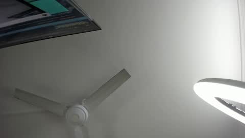 Lili  Marcus online show from January 2025 08:22:01 PM