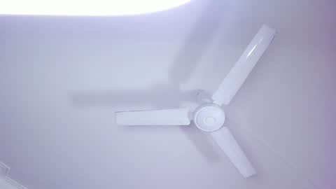 Lili  Marcus online show from January 2025 10:24:01 PM