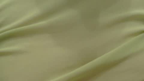 Lilu online show from February 2026 11:45:02 PM