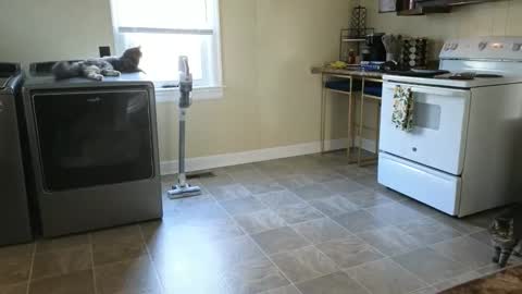 lilly_adams88 online show from March 2026 09:51:01 PM