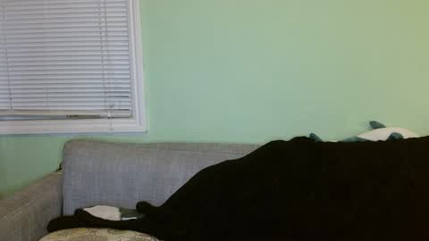 Lilly Lustcious online show from January 2025 04:04:01 AM