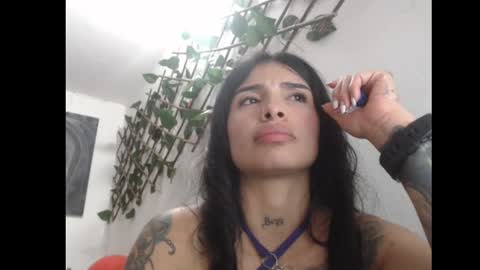 lil palacio online show from March 2025 08:14:02 PM