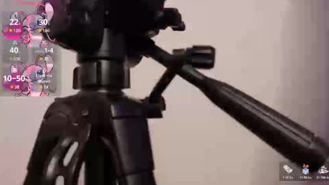 Lily online show from November 2025 03:50:01 AM