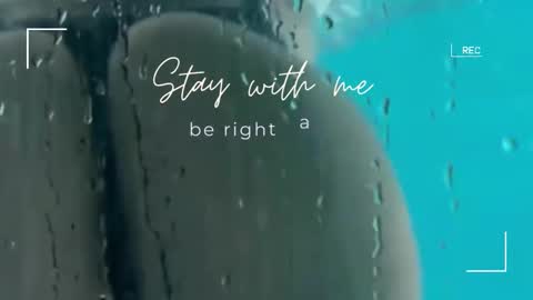 Lily online show from November 2025 06:33:02 AM