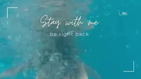 Lily online show from February 2026 06:42:01 AM