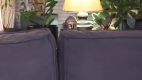 Snapshot of lilyminx chatting on November 2025 03:55:01 PM -- My Wishlist online show from November 2025 03:55:01 PM