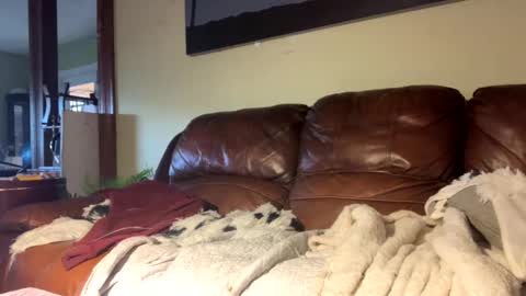 Snapshot of lincolnlongdick chatting on December 2024 07:23:01 PM Richie Rich online show from December 2024 07:23:01 PM