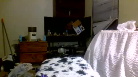 Snapshot of lincolnlongdick chatting on December 2024 08:15:01 PM Richie Rich online show from December 2024 08:15:01 PM