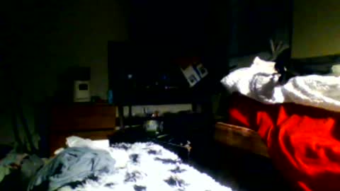 Snapshot of lincolnlongdick chatting on December 2024 11:17:01 PM Richie Rich online show from December 2024 11:17:01 PM