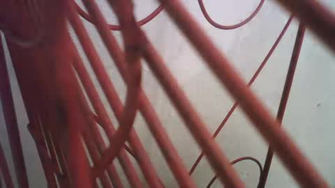 Snapshot of lincolnlongdick chatting on October 2025 05:00:01 PM Richie Rich online show from October 2025 05:00:01 PM