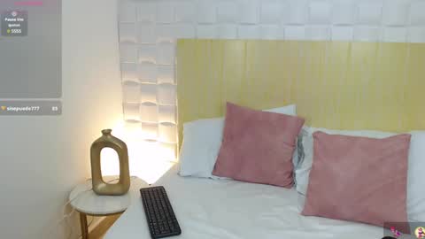 Snapshot of lindaa_natashaa chatting on February 2025 07:27:02 PM L I N D A online show from February 2025 07:27:02 PM