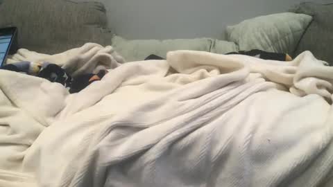 lingeriesissy12 online show from February 2025 11:04:02 PM