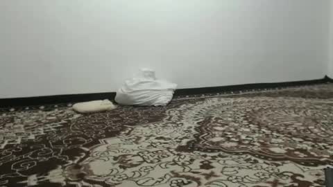 LinKissKiss online show from February 2025 12:03:02 PM