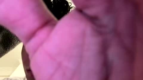 new account Lion online show from May 2026 03:06:01 PM