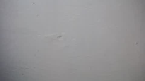 lisa_branch online show from November 2025 07:27:01 PM