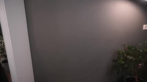 Snapshot of lisa_schiele chatting on November 2025 08:21:02 PM Elisabeth or Lisa online show from November 2025 08:21:02 PM