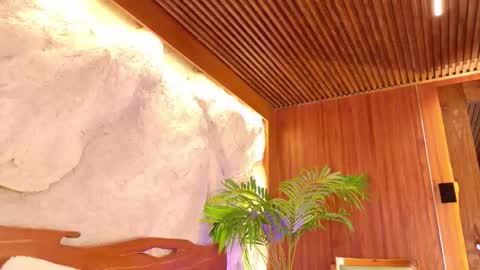 Isaa  online show from March 2026 10:54:02 AM