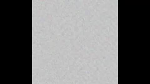 Zaydon and Lita Wolfe online show from February 2026 10:30:02 PM