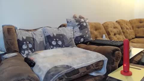 Snapshot of litisialove455 chatting on January 2025 09:27:01 AM litisialove455 online show from January 2025 09:27:01 AM