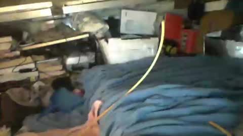 Snapshot of littlejay4773 chatting on October 2025 07:17:02 AM littlejay             littlejay online show from October 2025 07:17:02 AM